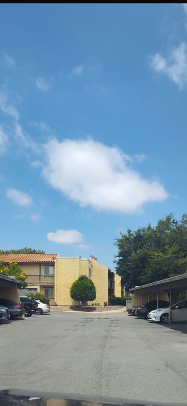 Photo - 3040 Alta View Dr Condo Unit D 108