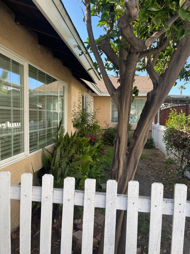 Photo - 333 Stepney St Unit 2