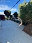 Photo - 813 N Carey Rd