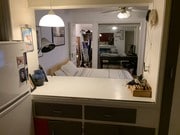 View from kitchen - Can add your own bed - 2078 Ivar Ave Apartments Unit Lower