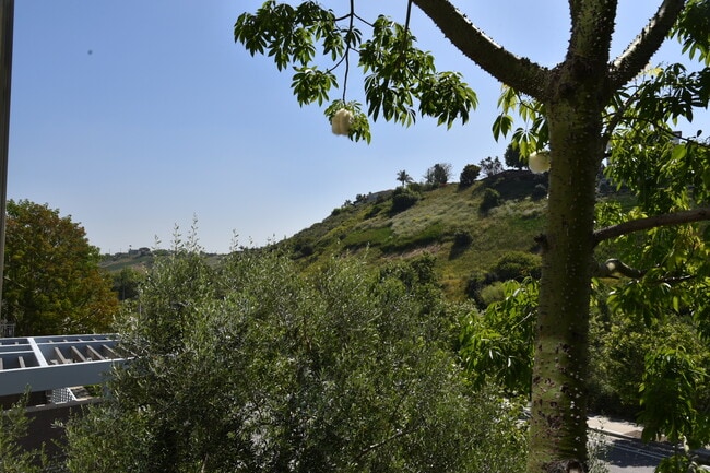 Photo - 12655 Bluff Creek Dr Unit 232