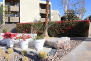 Photo - Mojave Blue Apartments