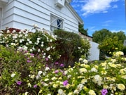 Photo - 1905 Elanita Dr