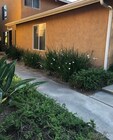 Photo - 10460 Caminito Sulmona Townhome