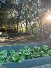 Multi level backyard - 624 N Topanga Canyon Blvd House