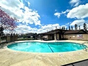 Pool - 1170 W Calle de la Luna Unit Apt 1