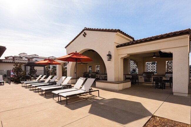 Poolside Chairs - Solana Winchester Hills