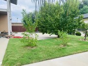 Photo - 17207 Holly Dr House