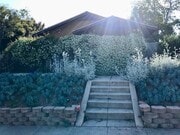 Gardener included - 1237 N Commonwealth Ave Unit 1