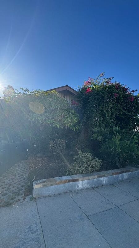 Photo - 1330 Westerly Terrace House