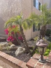 Photo - 5139 Balboa Blvd Condo Unit 105