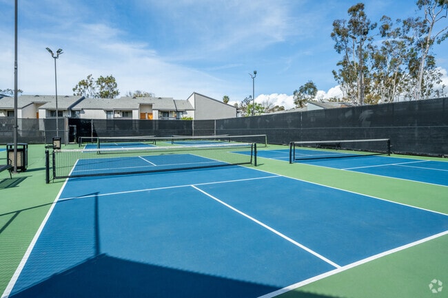 Pickle Ball Courts - Park Mesa Villas