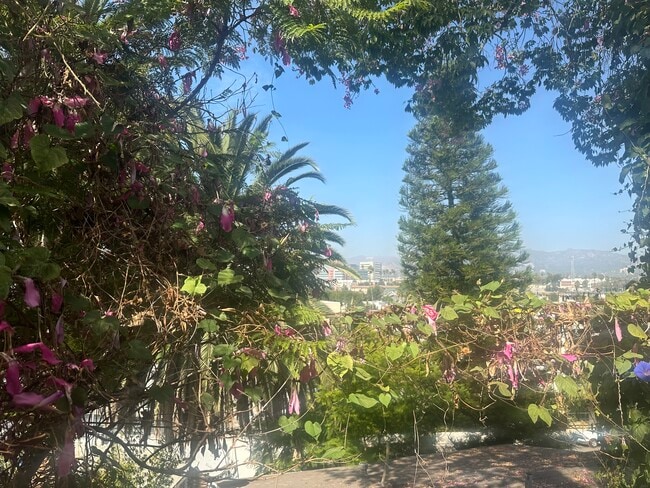 Photo - 1015 Manzanita St