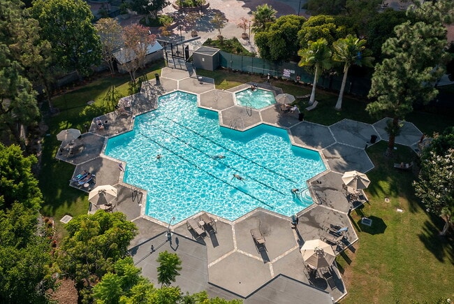 Photo - Skye at Bunker Hill