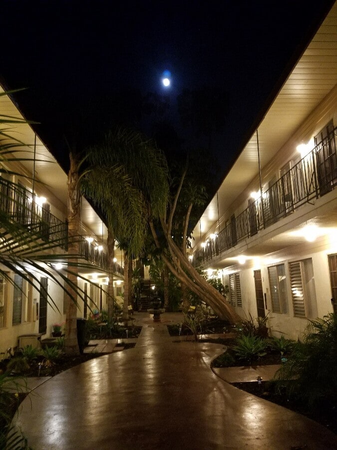 Common Area - The Palms