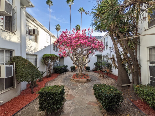 Garden - 7677 Hollywood Blvd Unit 7677