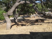 Photo - Fantastic Lot + View