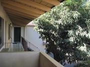 Photo - 808 Santa Barbara St Apartment Unit 8