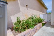 Photo - 10556 Kemerton Rd House