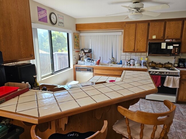 Photo - 10256 Carioca Ct