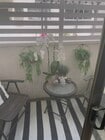 Balcony - 960 Larrabee St