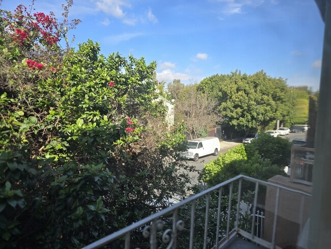 Serene view! Conway Recoding studios across the street - 608 N St Andrews Pl Unit 6