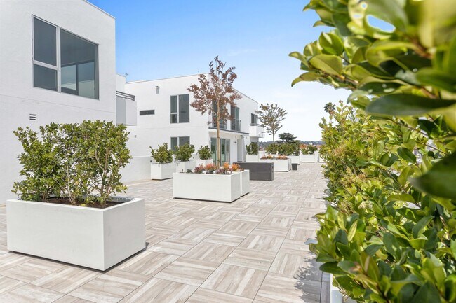 Photo - La Vida Melrose