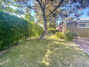 Front Yard Ficus Privacy Hedge - 5714 Simpson Ave House