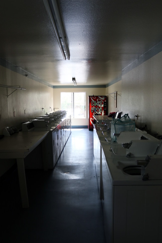 Photo - Bush Terrace