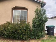 Photo - 13534 Potter Creek Dr