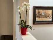 Photo - 641 Copeland Ct Unit B