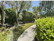 Photo - 17 Thornbird