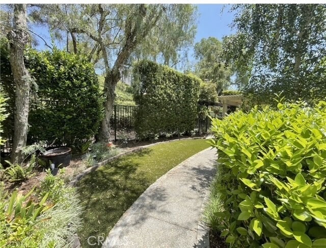 Photo - 17 Thornbird