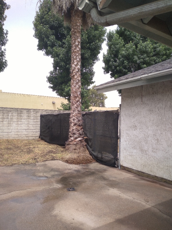 Photo - 12864 Raintree Ct