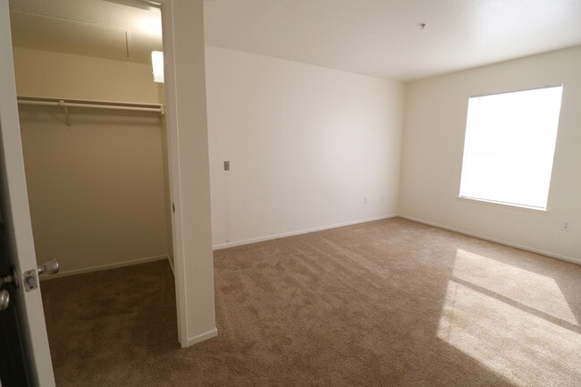 Photo - Harmony Creek