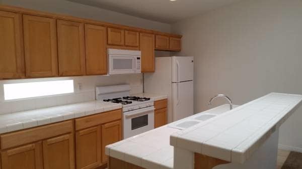 Kitchen - 51625 Avenida Carranza