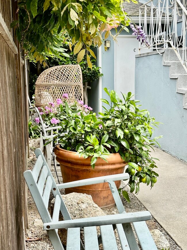 Photo - 828 7th St Unit C