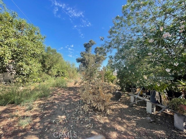 Photo - 23670 Sony Way