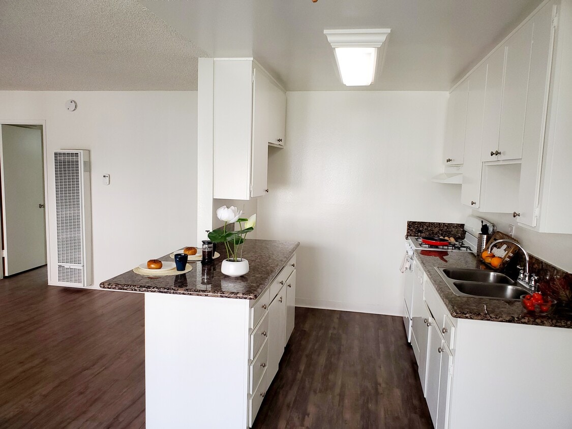 Floor Plan - 1+1