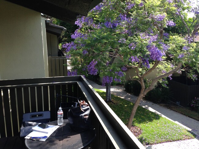 Photo - 4921 Indian Wood Rd Unit 486