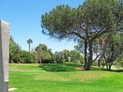 View from Patio - 17087 Bernardo Center Dr Unit 17087 A