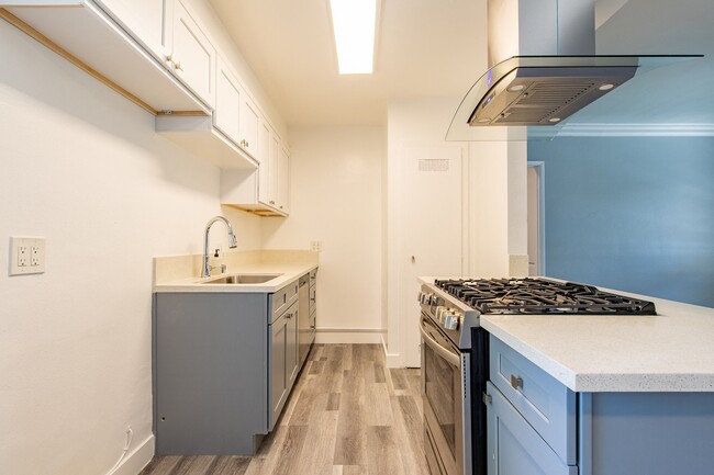 Photo - Woodman - Donovan