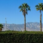 Photo - 14 Mission Palms Dr W