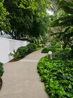 Hana Kiki Pathway near pool 1 - Hanakiki Garden Apartments