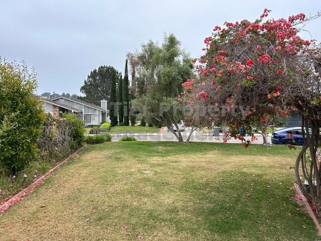 Photo - 1322 Calle Christopher