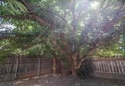 Photo - 19422 Archwood St