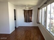 Photo - 38594 Friendly