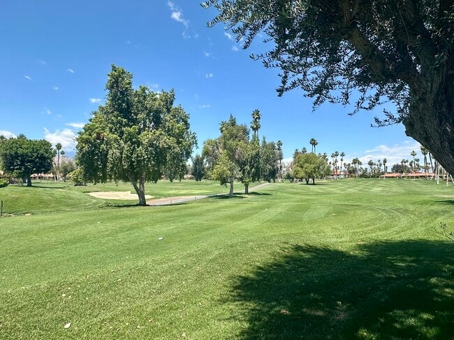 Photo - 347 Gran Via