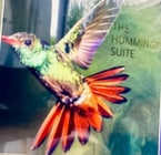 Photo - 9859 Gandy Ave