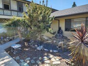 Japanese Garden with2 running water fountains - 5014 W 58th Pl Apartment Unit 0
